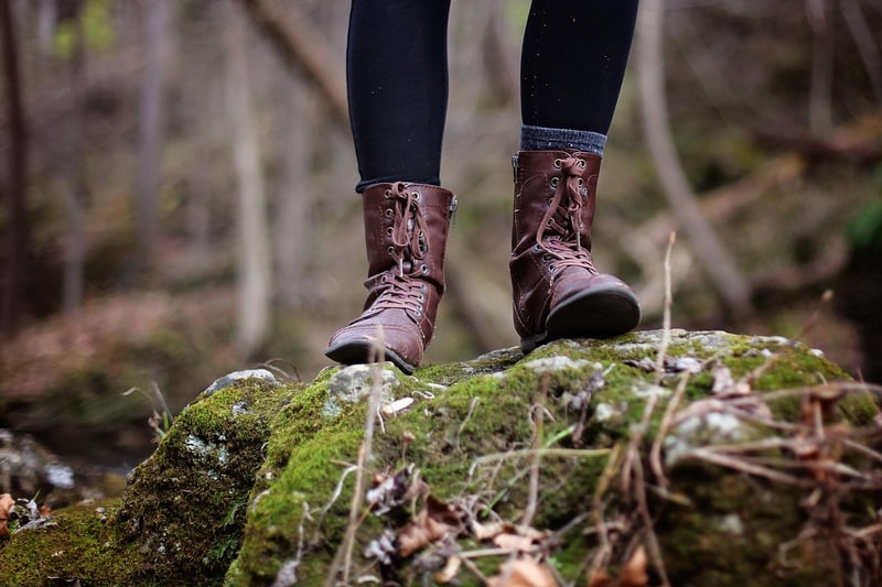 Hiking Poles