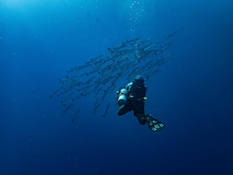 Ocean Diving